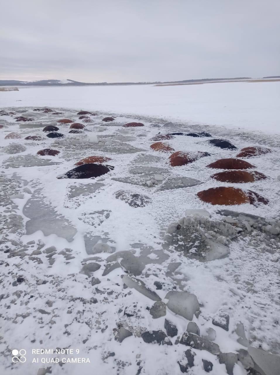 В СКО 50 лошадей погибли, провалившись под лед . Фото: пресс-служба МВД РК