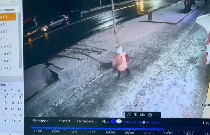 В Алматы разыскивают девятилетнюю девочку