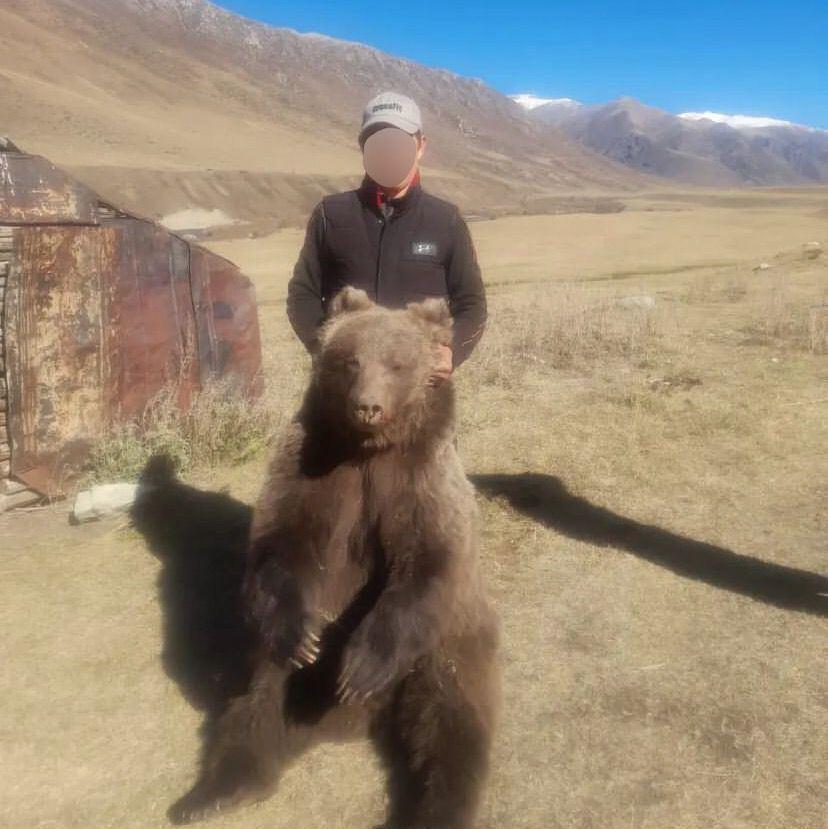 В Жетысуской области задержали местного жителя, сделавшего фото с застреленным медведем