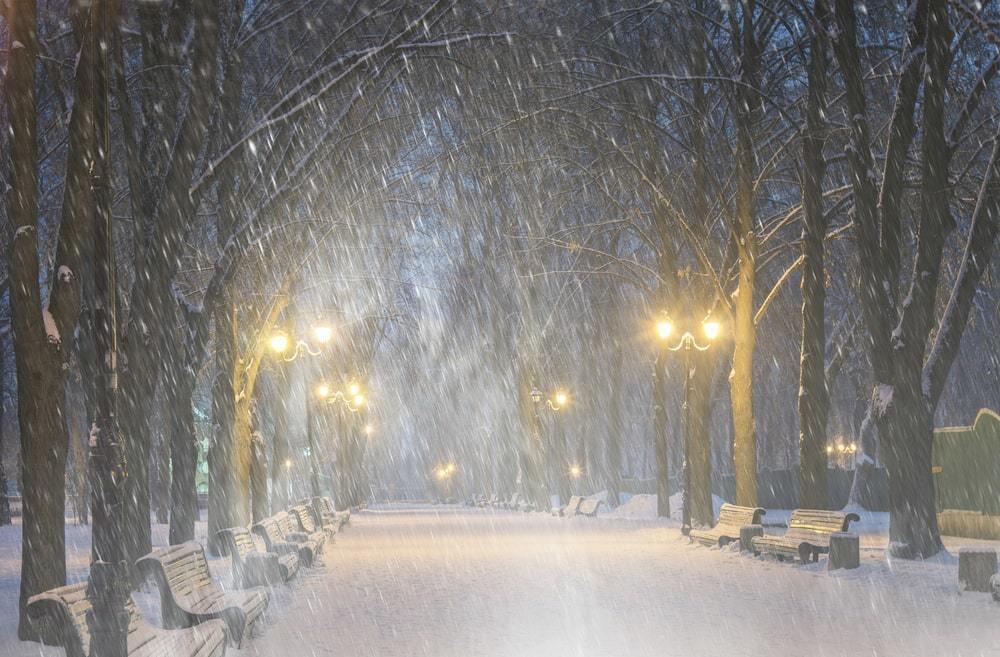 Штормовое предупреждение объявили в четырех областях