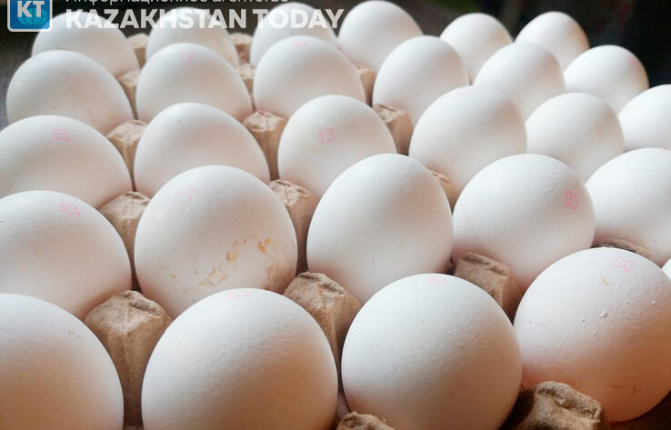 Птицефабрику в Костанайской области подозревают в завышении цен на яйца