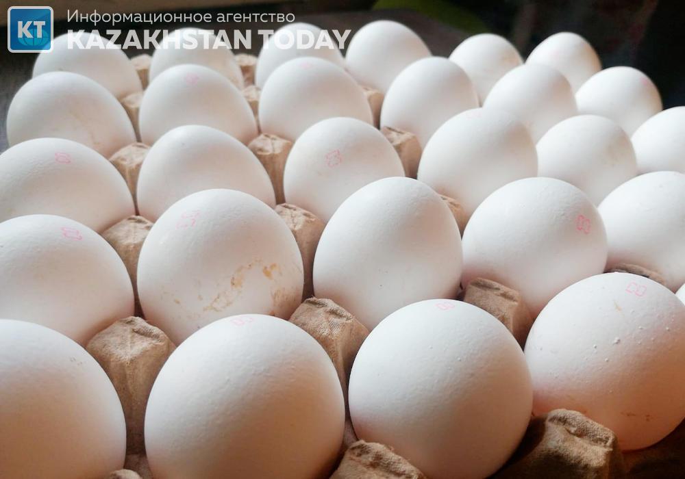 Торговые посредники перепродавали яйца с надбавкой до 45% в ряде областей Казахстана