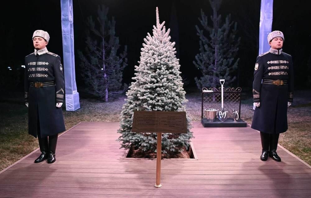 Президент Касым-Жомарт Токаев прибыл с государственным визитом в Узбекистан. Фото: Акорда / Глава государства посадил дерево на аллее почетных гостей резиденции Президента Республики Узбекистан Куксарой в Ташкенте