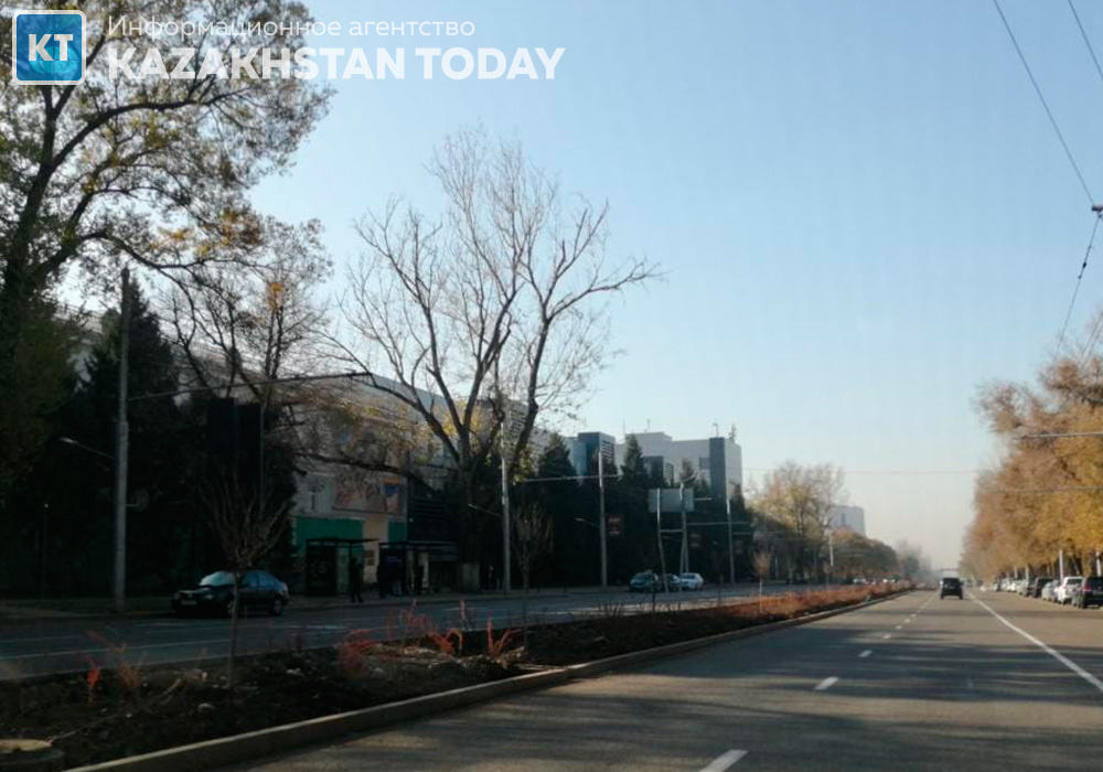ЭОС: Эксперты пояснили причины гибели деревьев в Алматы 