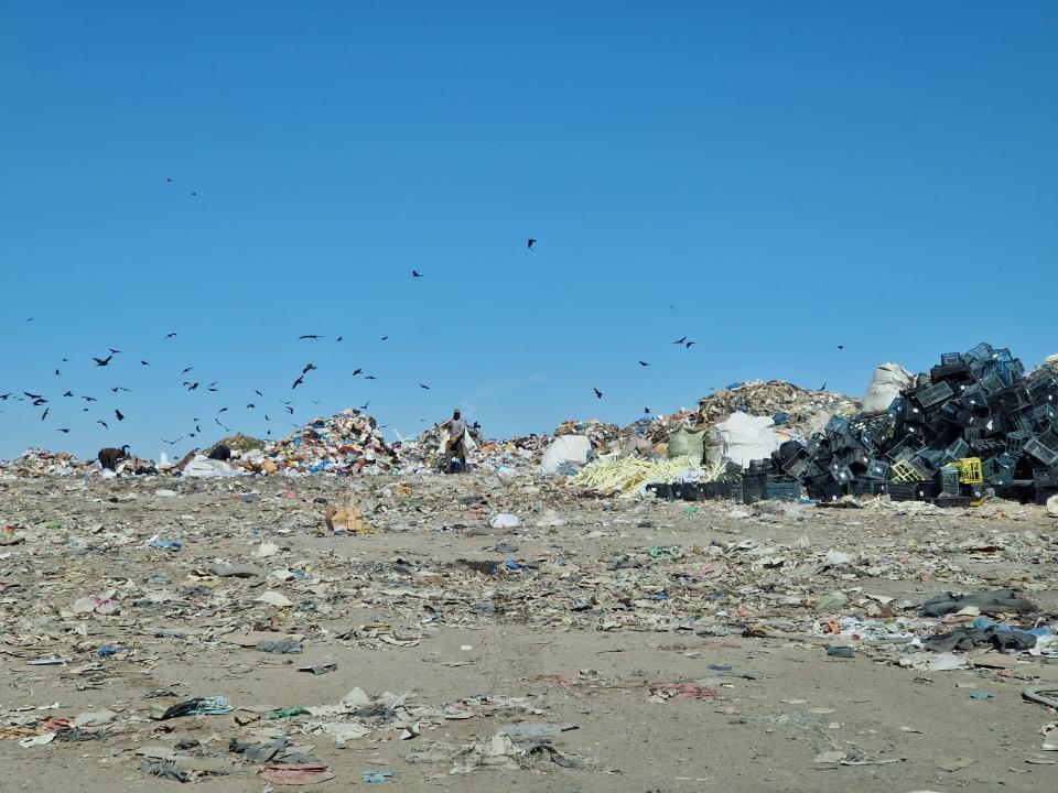 В Алматинской области чиновников оштрафовали за мусорные свалки 