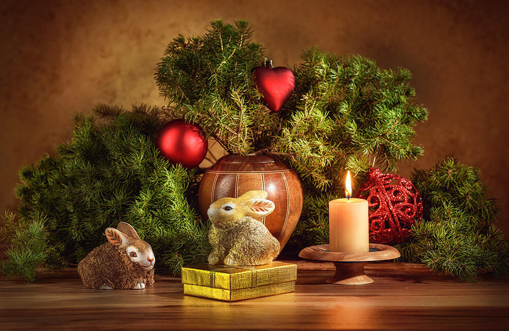 Новогоднее настроение. Фото: 35photo.pro / Наталья Казанцева