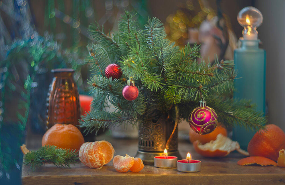 Новогоднее настроение. Фото: 35photo.pro / Шипунова Ирина