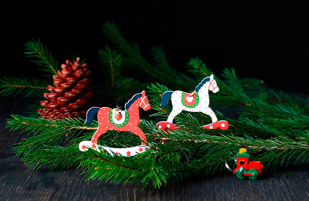 Новогоднее настроение. Фото: 35photo.pro / Наталья Казанцева