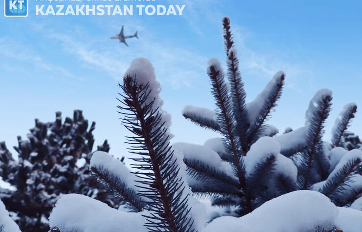 Какая погода ожидается в Казахстане в первый день нового года