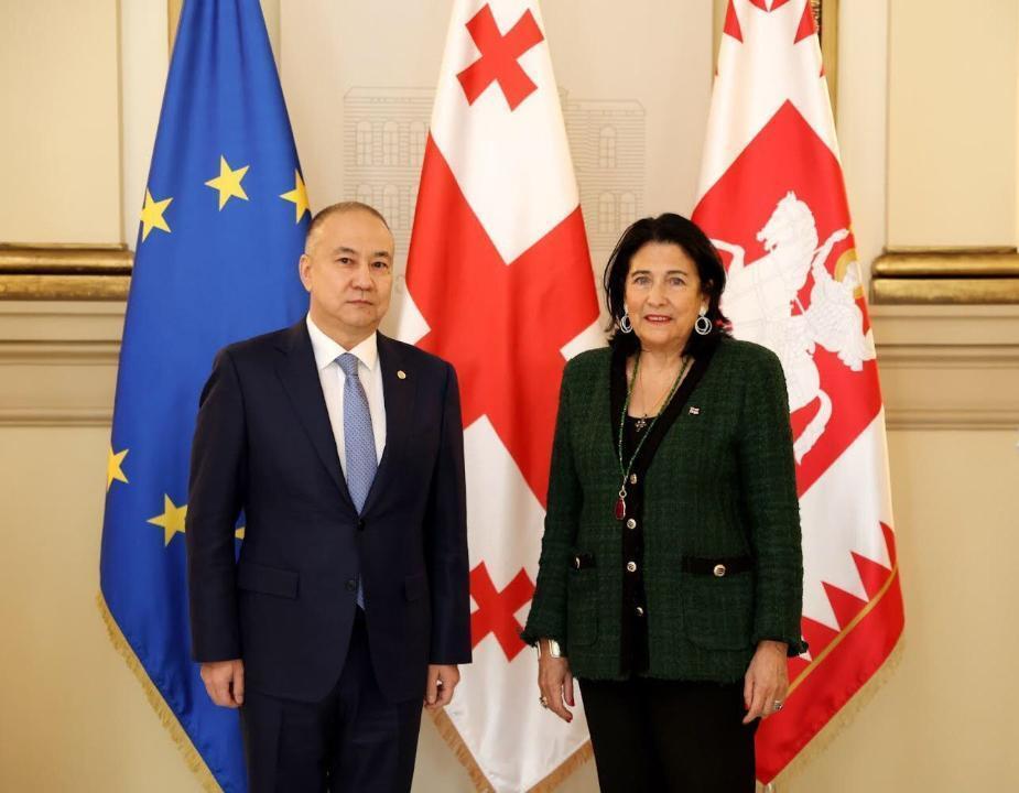 Kazakhstan Ambassador presents credentials to President of Georgia