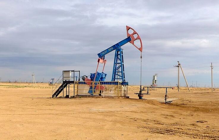 Казахстан снизит нефтедобычу до 2025 года 