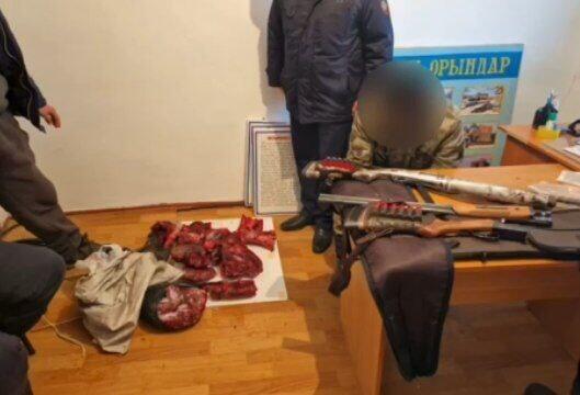 В Атырауской области по подозрению в отстреле сайгаков задержали четырех местных жителей   