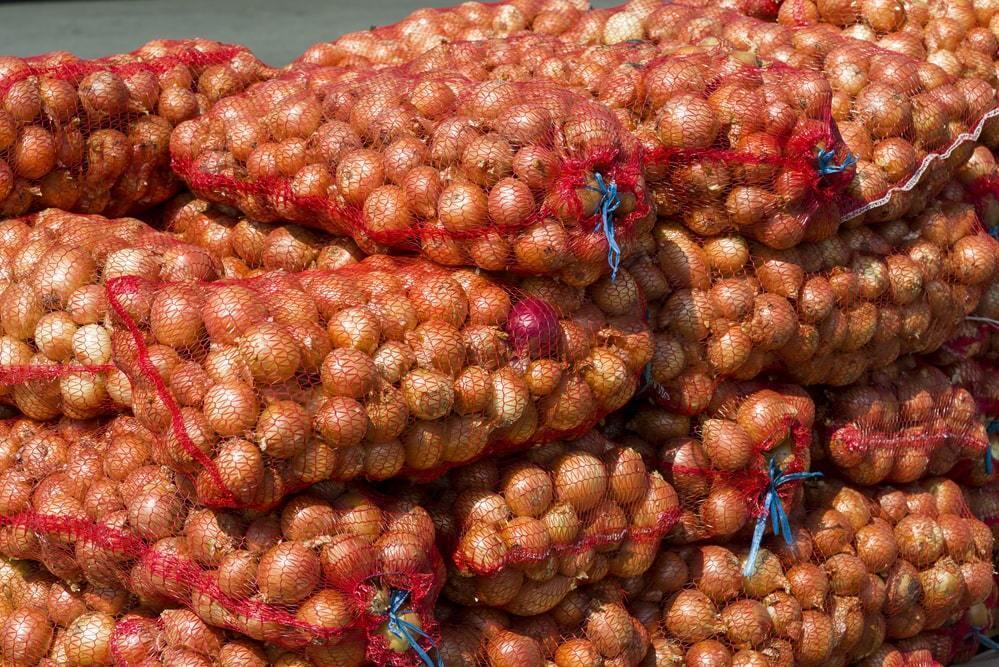 В Минсельхозе прокомментировали задержку большегрузов с луком на границе 