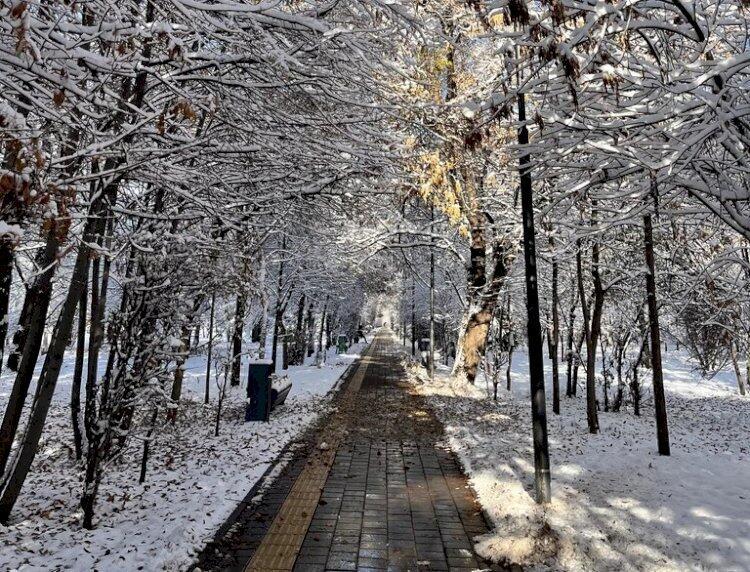 Парк Южный в Алматы перешел в госсобственность 