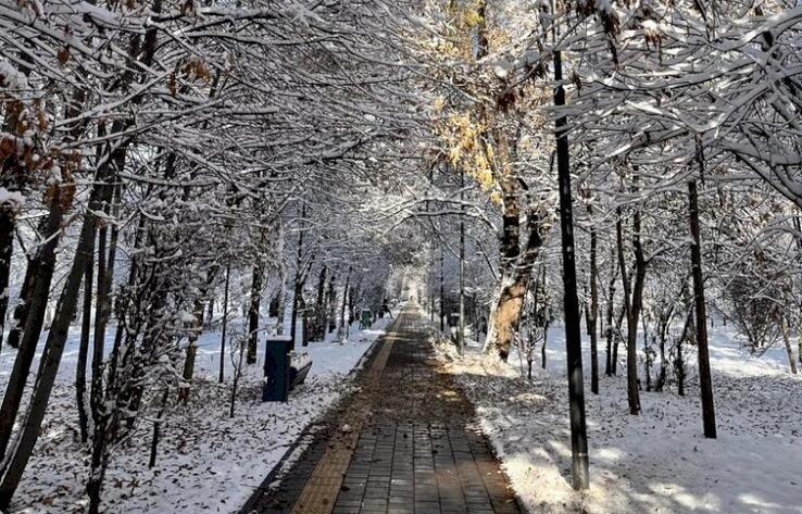 Парк Южный в Алматы перешел в госсобственность 