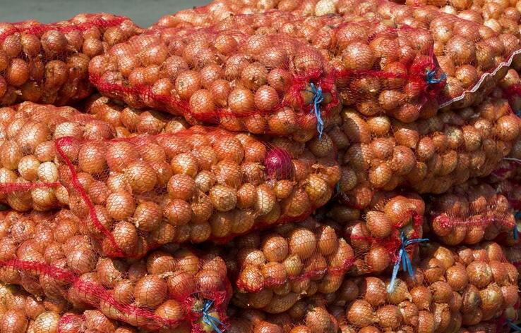 В Казахстане запасов лука хватит до следующего урожая
