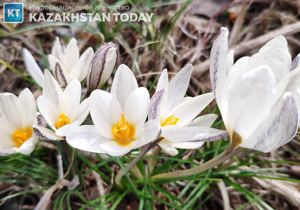 В Казахстане погода в марте будет теплее, чем обычно
