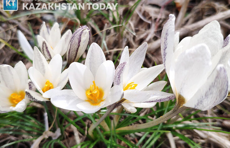 В Казахстане погода в марте будет теплее, чем обычно