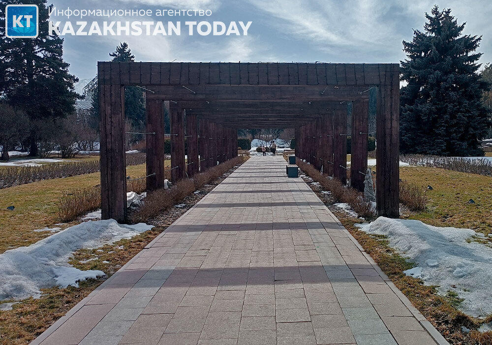 В Алматы зацвели первые подснежники