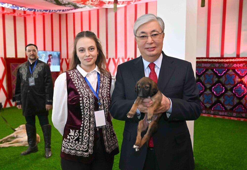 Главе государства подарили щенка тазы по клике Наурыз. Фото: Акорда