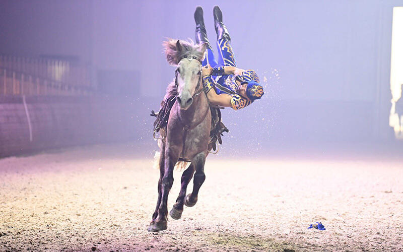 Шоу конных наездников Nomad Stunts. Фото: telegram / aqorda_resmi