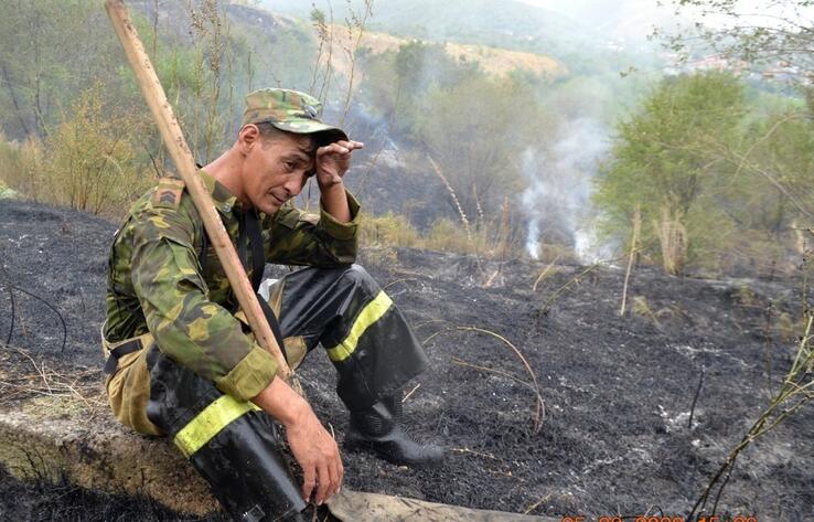 В разных районах Алматы пожарные ликвидировали восемь очагов горения сухой травы 
