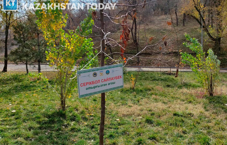 В Алматы весной высадят более 10 тысяч деревьев 