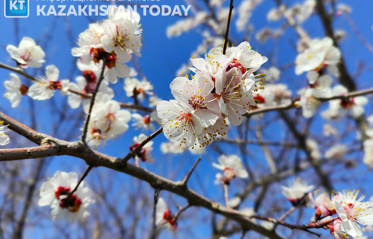 Синоптики рассказали, какая погода ждет казахстанцев в апреле