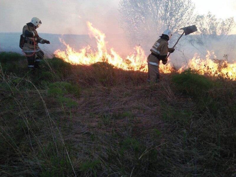 Почти сутки тушили степной пожар в Алматинской области 