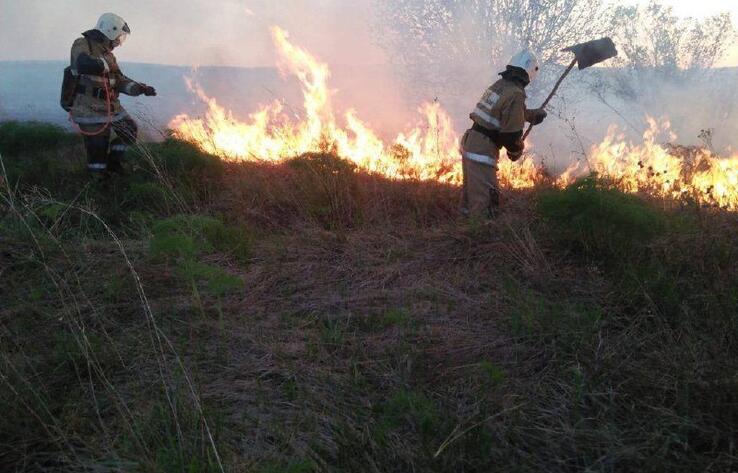 Почти сутки тушили степной пожар в Алматинской области 