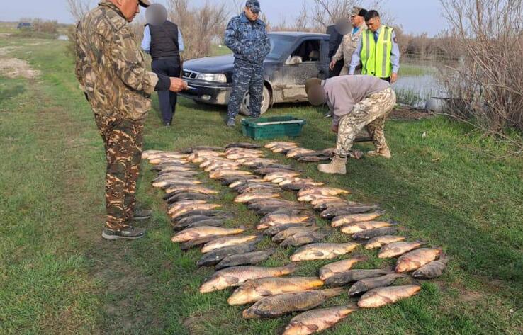 В Туркестанской области полицейские изъяли у браконьеров около 150 кг рыбы 