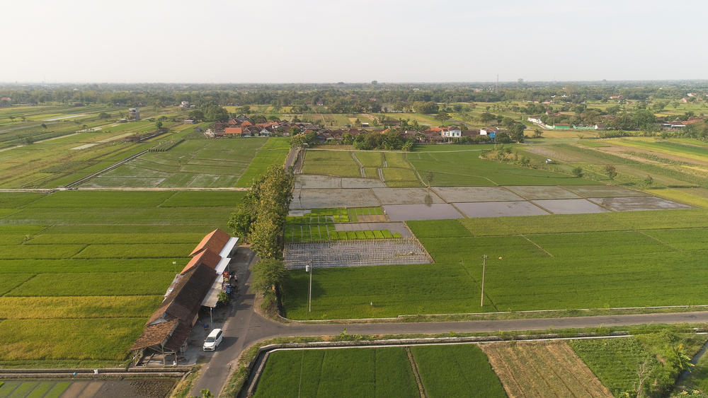 Үкімет Ауылдық аумақтарды дамыту тұжырымдамасын бекітті