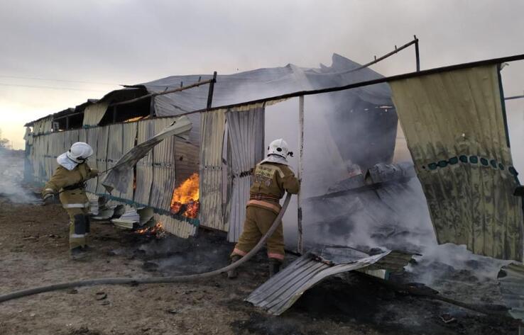 В Кызылординской области сгорел цех по изготовлению картона 