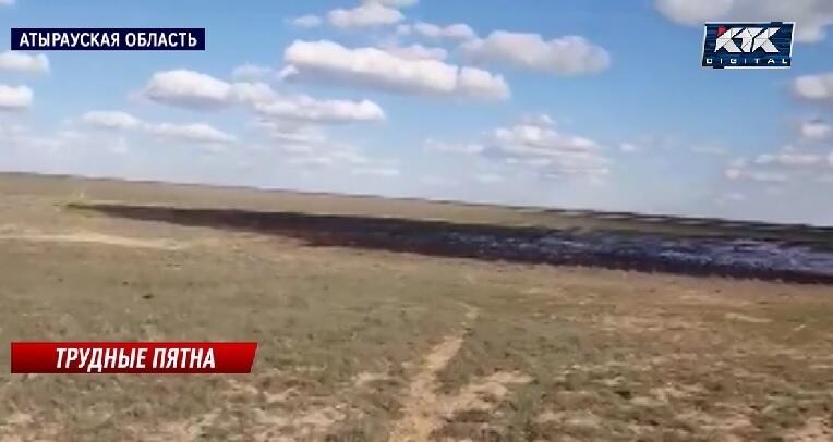Нефть залила пастбища в Атырауской области