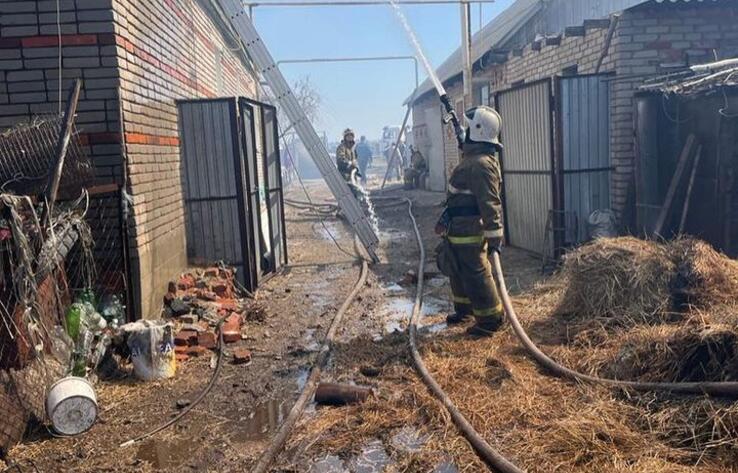 В Костанайской области потушили крупный пожар