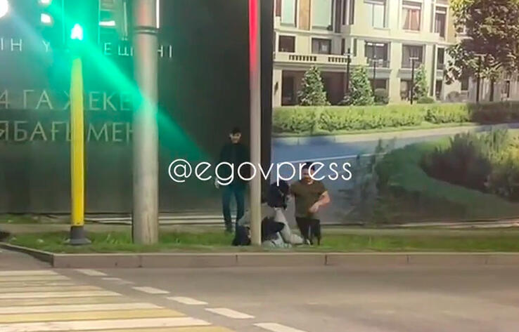 Группа хулиганов учинила нападение на прохожих в центре Алматы