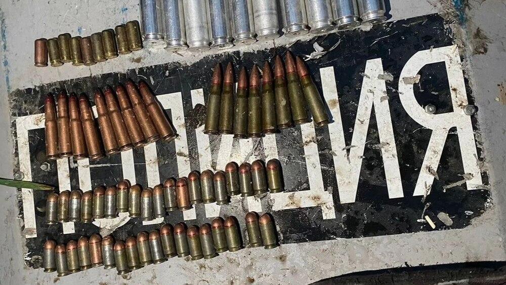 В Жетысуской области найден тайник с боеприпасами. Фото: ДП Жетысуской области