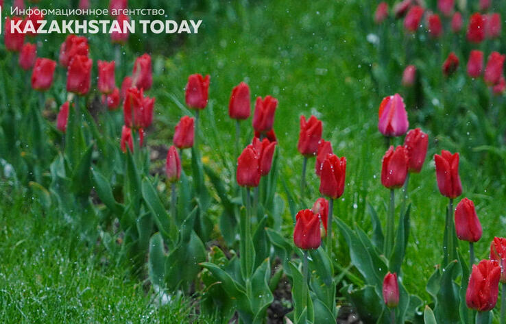 Казахстанцам рассказали, какая погода ожидается в мае