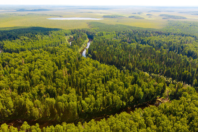 "Роснефть" разрабатывает собственные экотехнологии