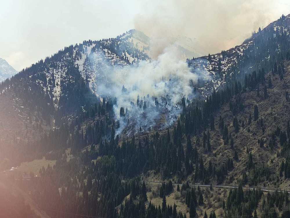 В горах Алматы горит сухостой . Фото: Kazakhstan Today