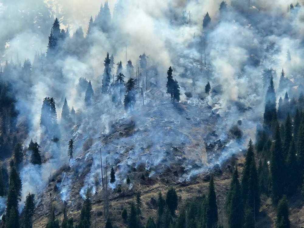 В горах Алматы горит сухостой . Фото: Kazakhstan Today