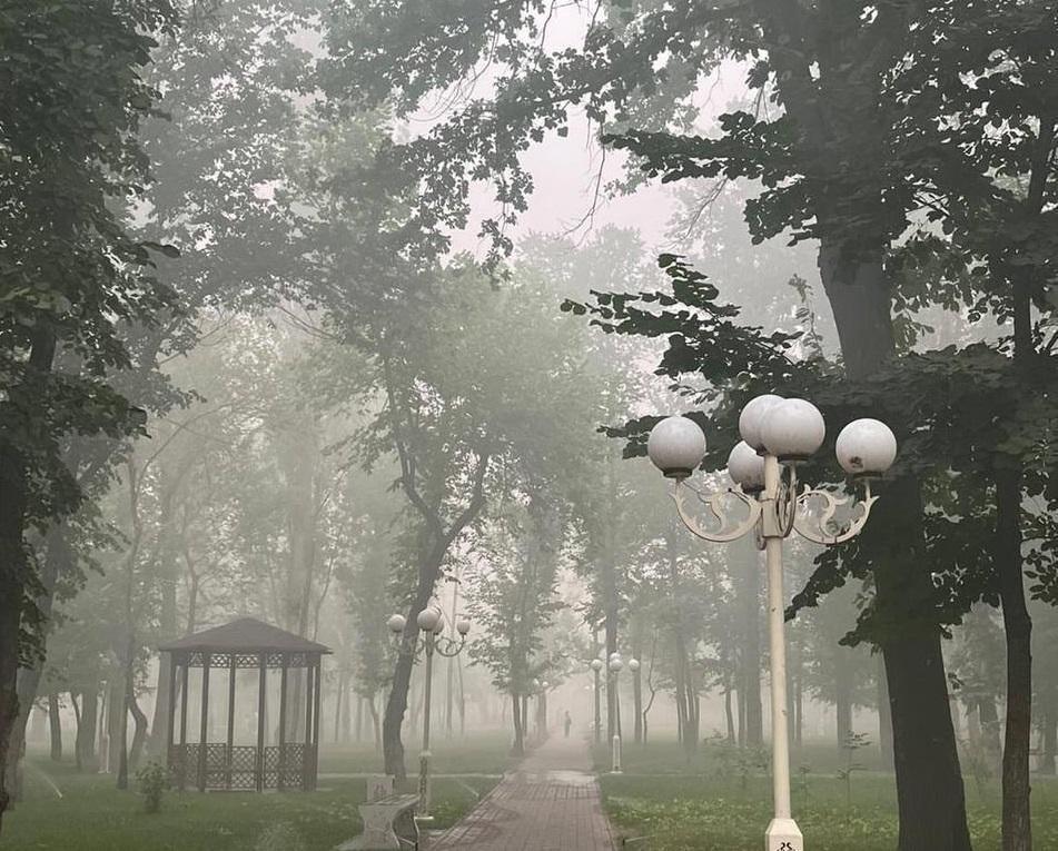 Костанайскую область накрыл смог из-за пожаров в России