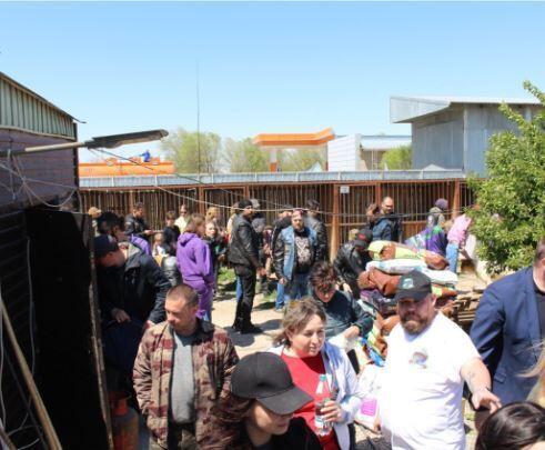 В Алматы байкеры встали на защиту бездомных животных. Фото: организаторы благотворительного марафона