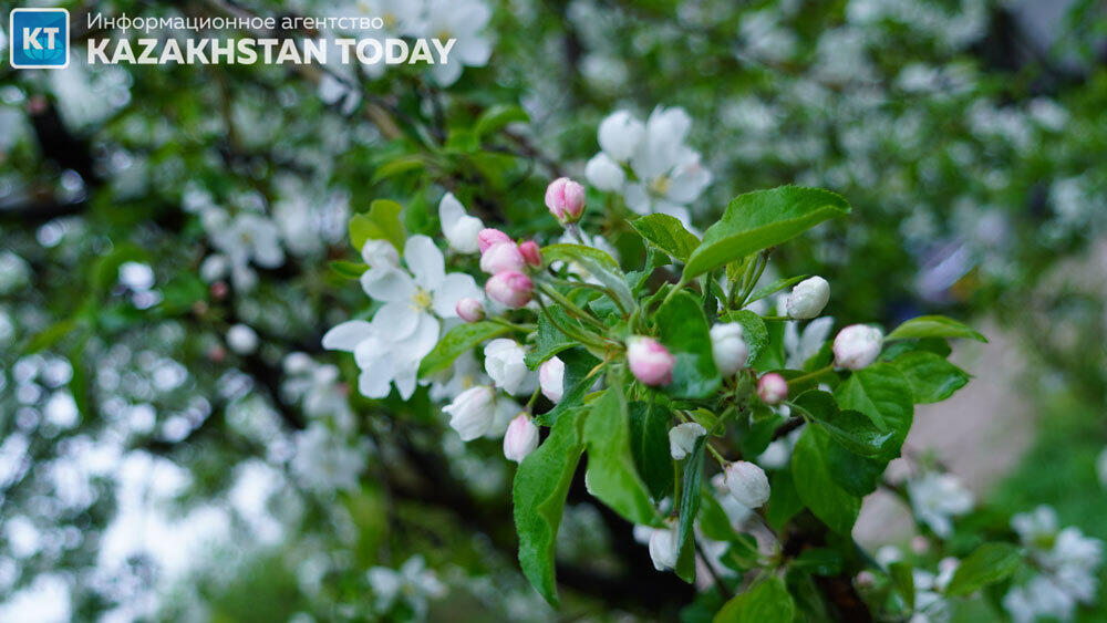 Синоптики рассказали о погоде в Казахстане в субботу