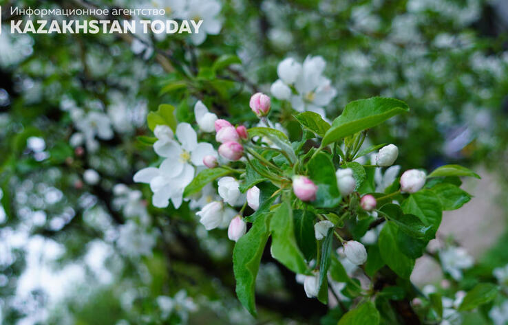 Синоптики рассказали о погоде в Казахстане в субботу