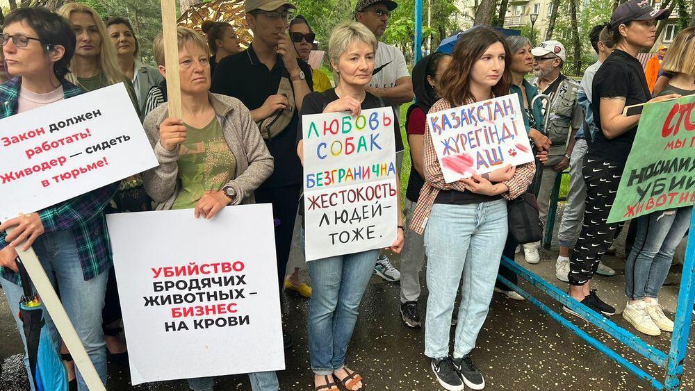 Митинг против жестокого обращения с животными прошел в Алматы
