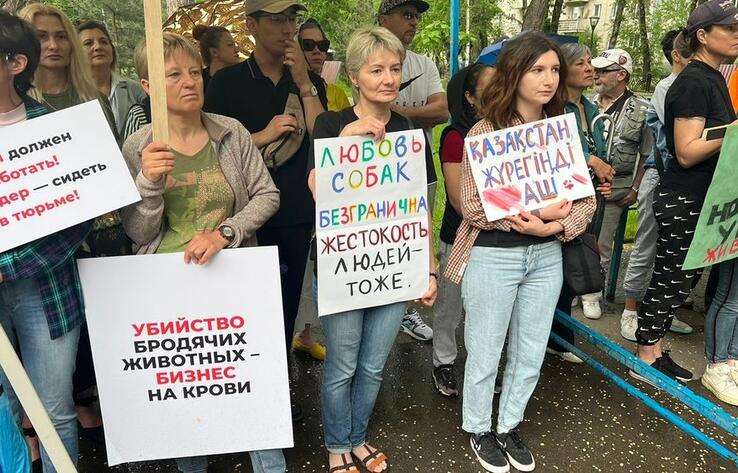 Митинг против жестокого обращения с животными прошел в Алматы
