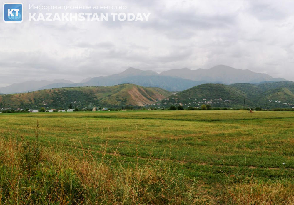 В Алматинской области в госсобственность возвращено 44 тысячи га земель