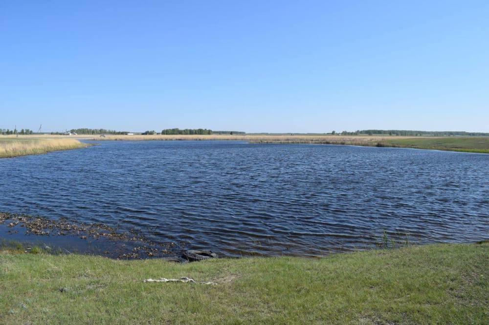 Қазақстанның солтүстігінде шұңқыр судан 14 жастағы қыздың денесі табылды