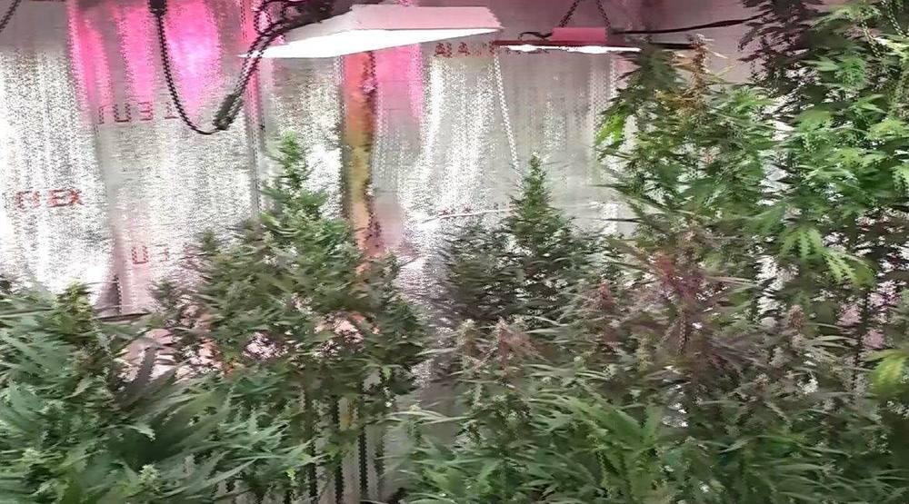 Подпольную нарколабораторию выявили на рыболовной станции возле Астаны